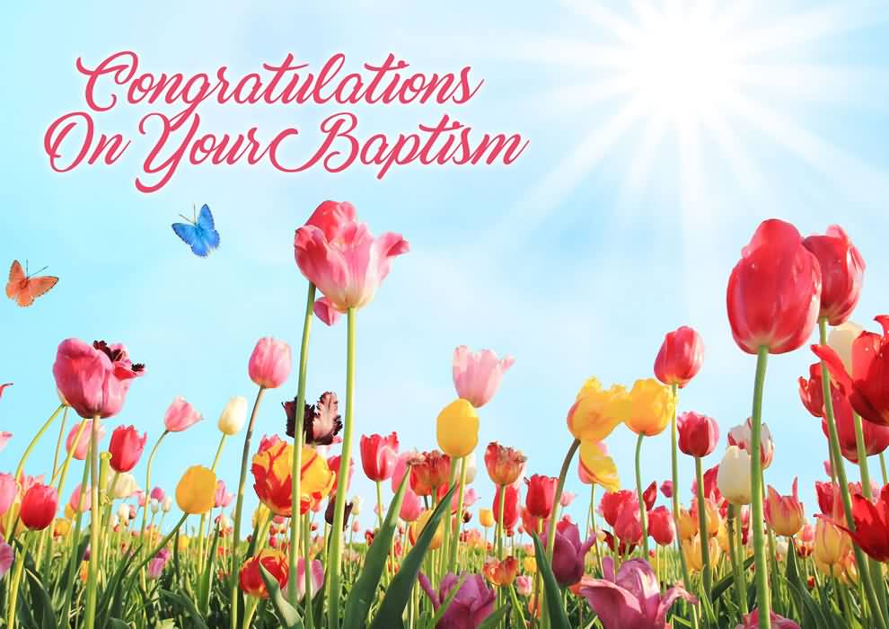 Congratulations On Your Baptism Tulip Flower Garden In Background