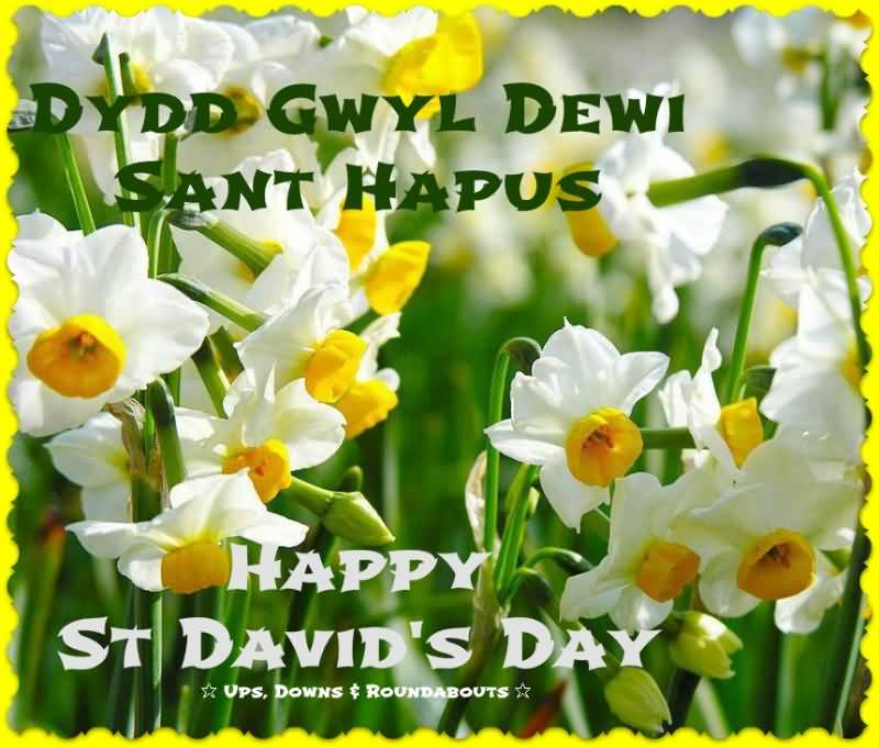 Dydd Gwyl Dewi Sant Hapus Happy St. David's Day