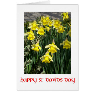 Happy St. David's Day Greeting Ecard