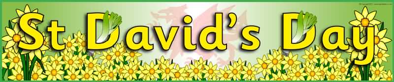 Happy St. David's Day Header Image