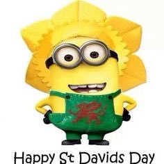 Happy St. David's Day Minion Picture