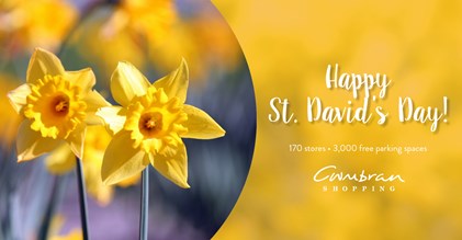 Happy St. David's Day Wishes For Dear Ones