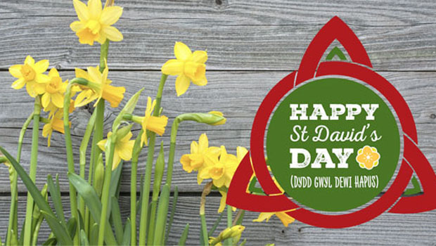 Happy St. David's Day Wishes Picture