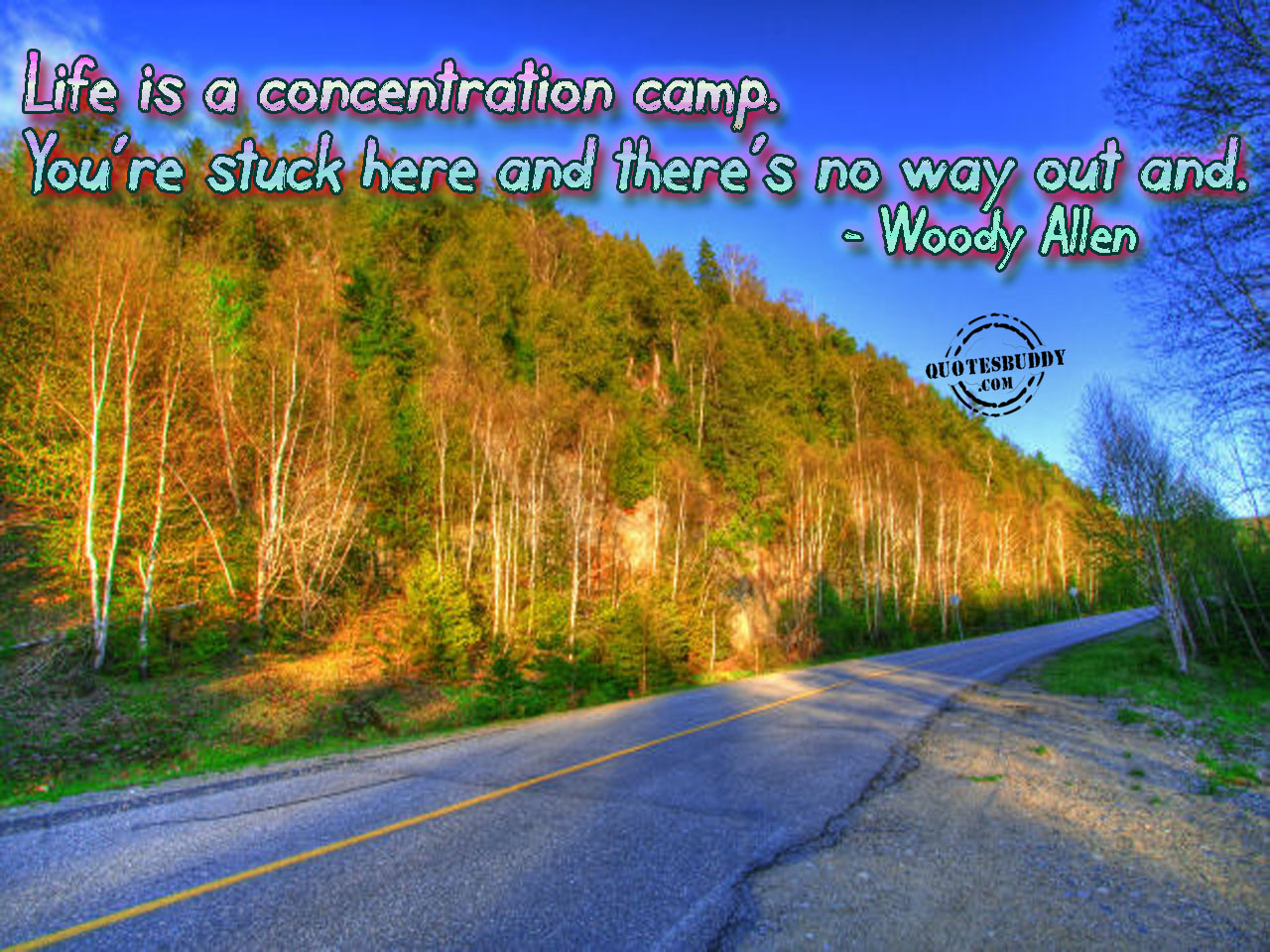 Life is a concentration camp. You're stuck here and there's no way out and. Woody Allen