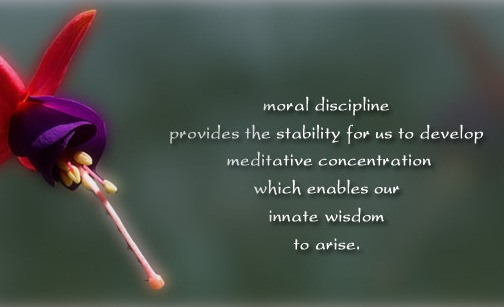 Moral discipline provides the stability for us to develop meditative concentration which enables our innate wisdom to arise