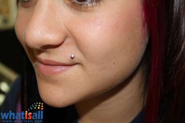 Silver Studs Crawford Piercing