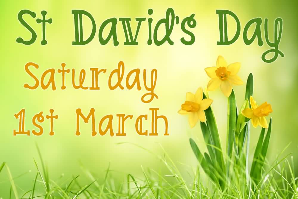 St. David's Day 1st March