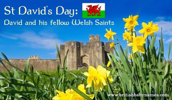 St. David's Day David And His Fellow Welsh Saints