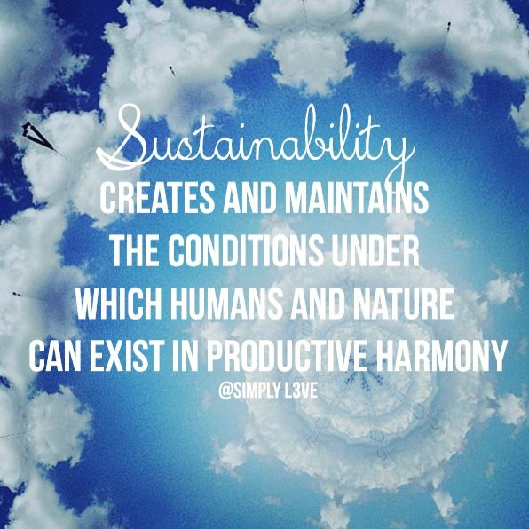 Sustainability creates and maintains the conditions under which humans and nature can exist in productive harmony