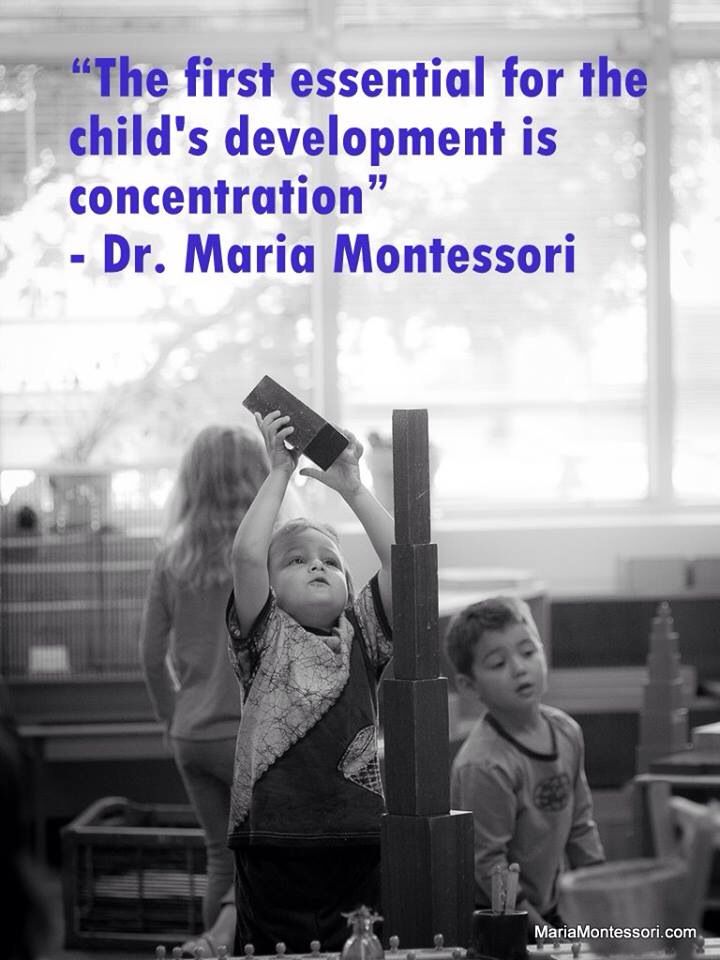 The first essential for the child's development is concentration. Dr. Maria Montessori