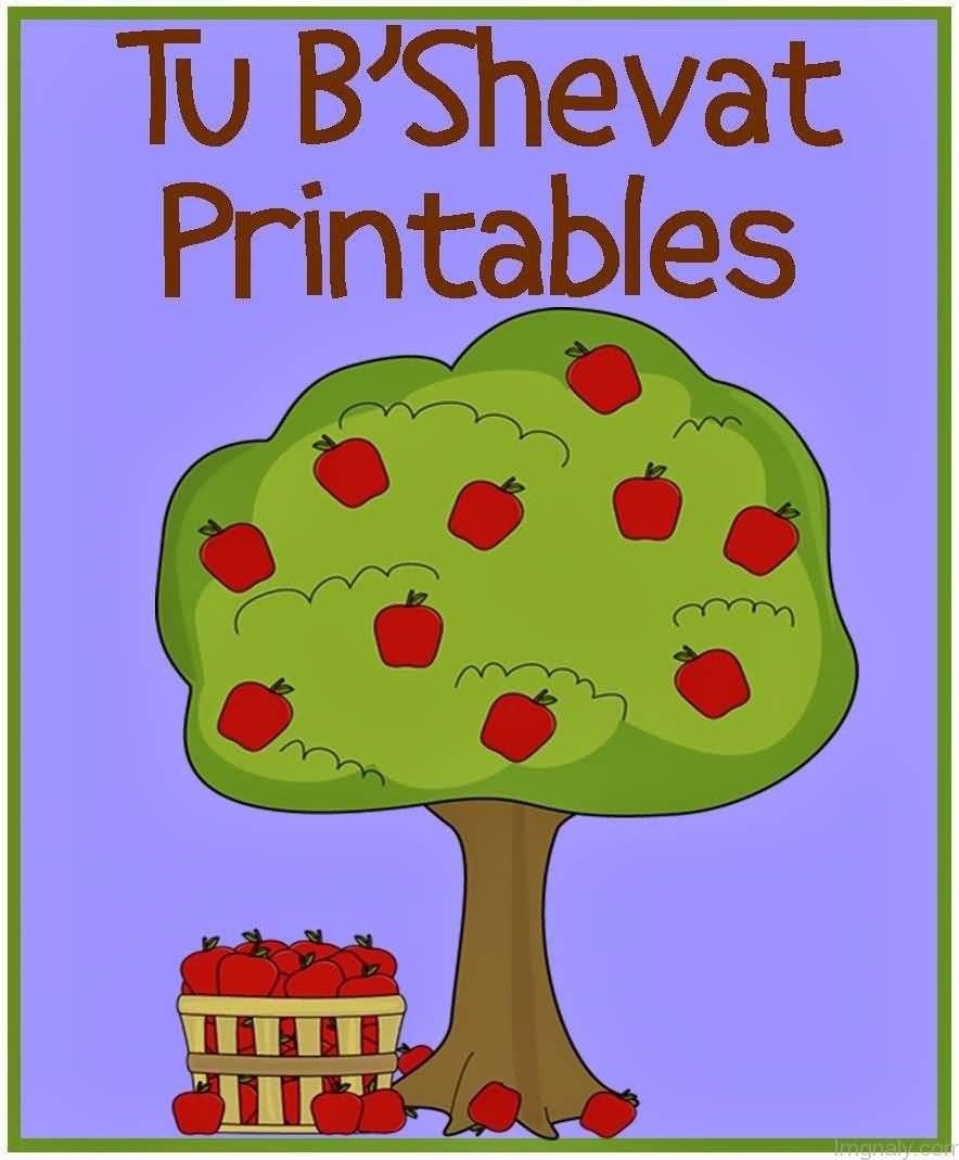 Tu B' Shevat Printables Tree Clipart