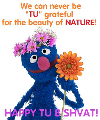 We Can Never Be Tu Grateful For The Beauty Of Nature Happy Tu B'Shevat