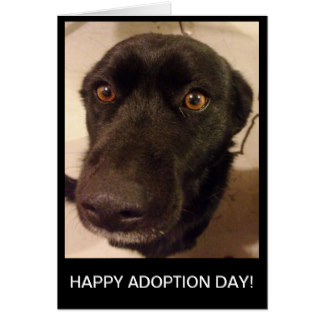 Happy Adoption Day Dog Face On Greeting Card