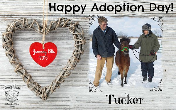 Happy Adoption Day Picture