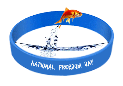 National Freedom Day Wristband Picture