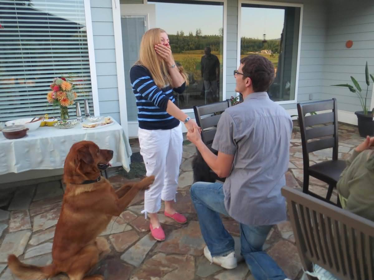 Funny Propose Moment Picture