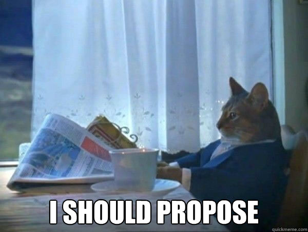 I Should Propose Funny Cat Picture