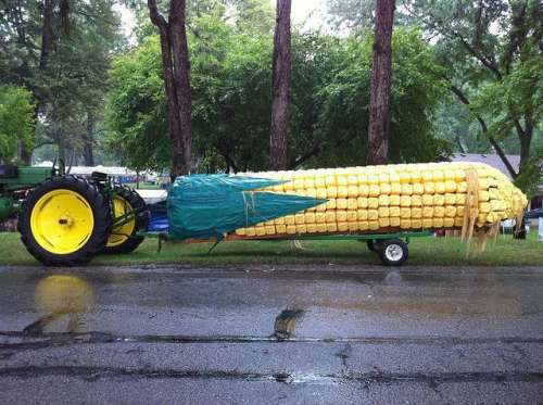 Maize Shape Funny Car