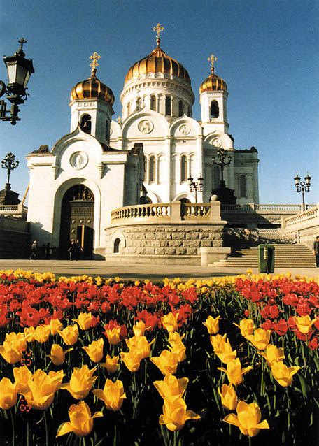 Colorful Tulip Flowers On Backside Of Cathedral Of Christ The Saviour