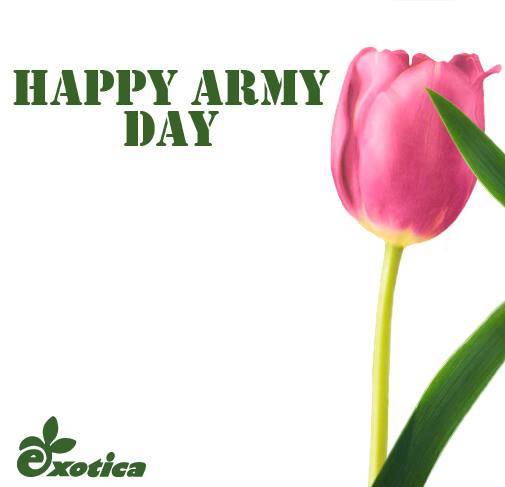 Happy Army Day Rose Flower Bud Picture