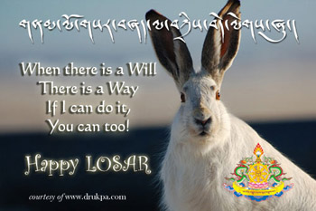 Happy Losar Rabbit