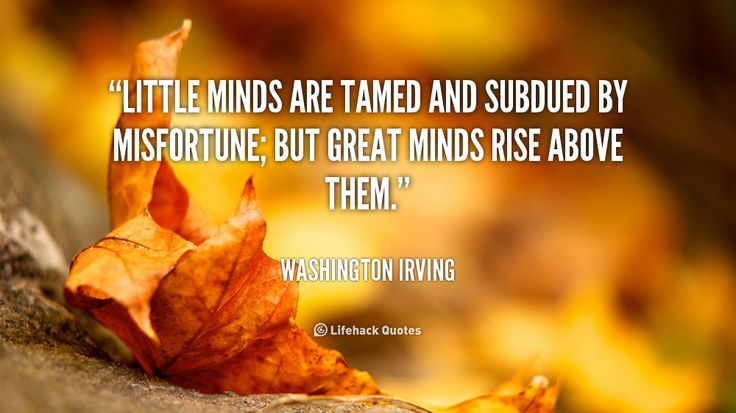 Little minds are tamed and subdued by misfortune; but great minds rise above them. Washington Irving