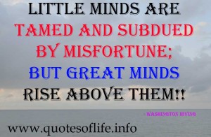 Little minds are tamed and subdued by misfortune; but great minds rise above them