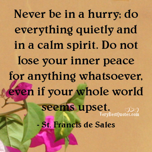 Never be in a hurry; do everything quietly and in a calm spirit. Do not lose your inner peace for anything whatsoever, even if your.. St. Francis De Sales