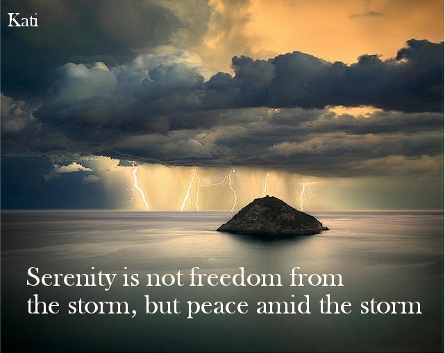 Serenity is not freedom from the storm, but peace amid the storm