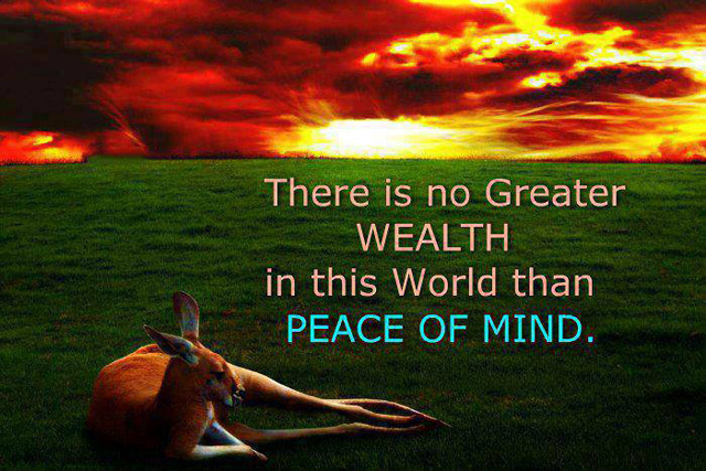 There is no Greater wealth in this world than peace of mind