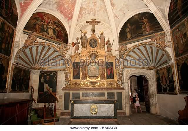 Adorable Interior View Of The Palma Cathedral