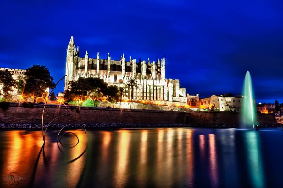 Adorable Night View Of The Palma Cathedral