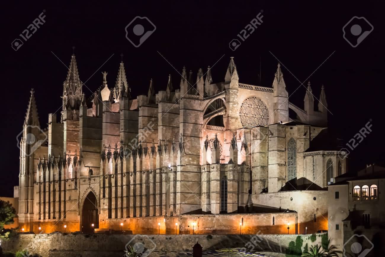 Amazing Night View Of The Palma Cathedral