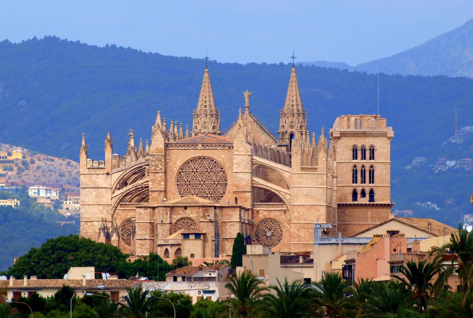 Back Side View Of The Palma Cathedral