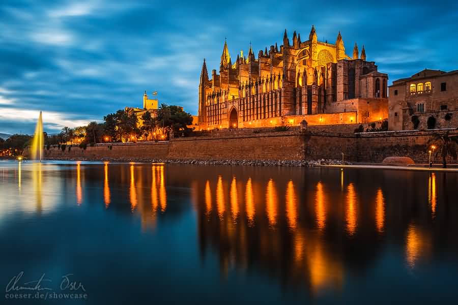 Beautiful Night View Of The Palma Cathedral