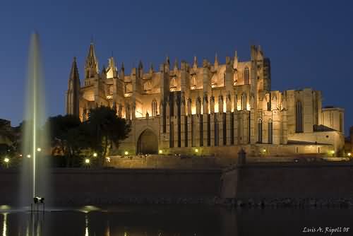 Beautiful View Of The Palma Cathedral At Night