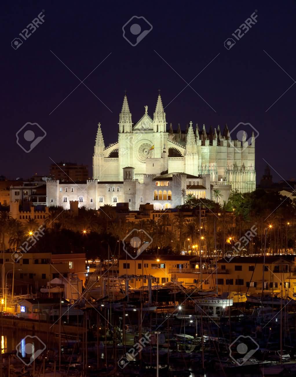 Best View Of Palma de Mallorca With The Cathedral Of Santa Maria By Night