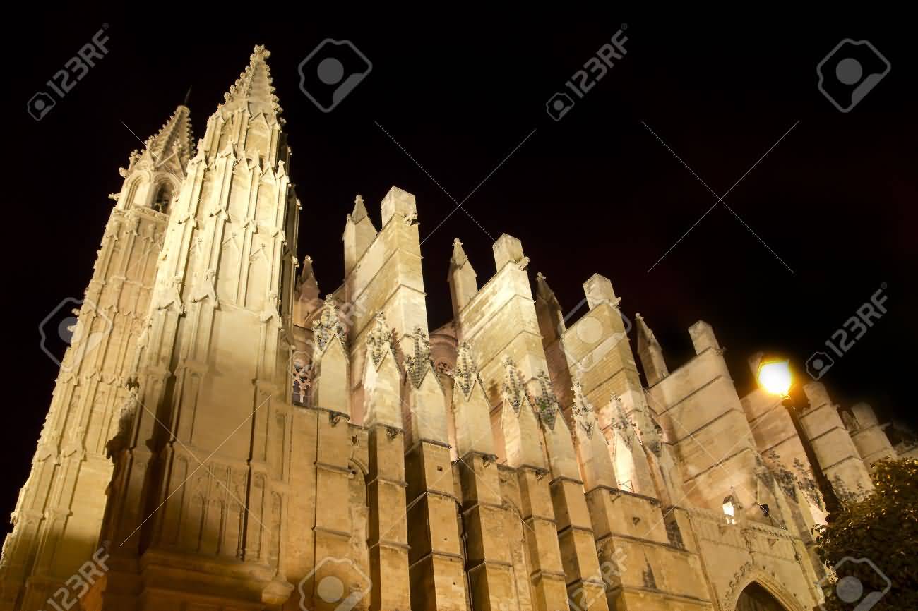 Cathedral Of La Seu Majorca In Palma de Mallorca Night View