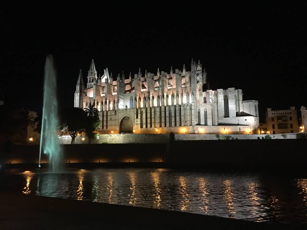 Cathedral Of Palma At Night