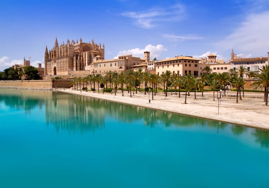 Cathedral Of Santa Maria Of Palma