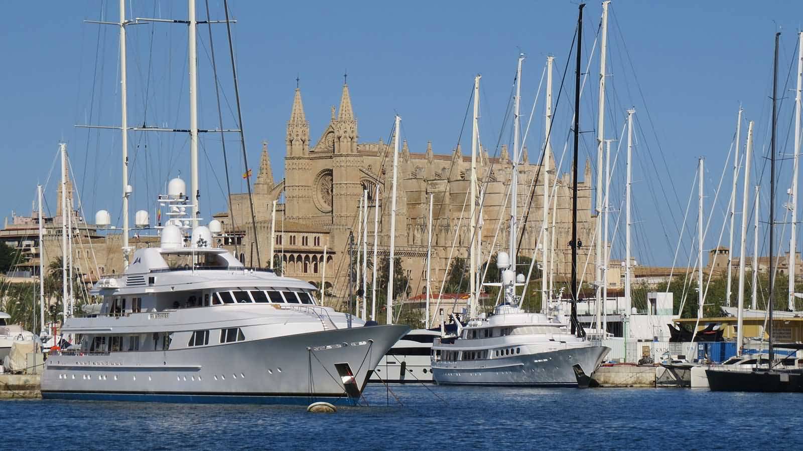 Cruises Near The Palma Cathedral