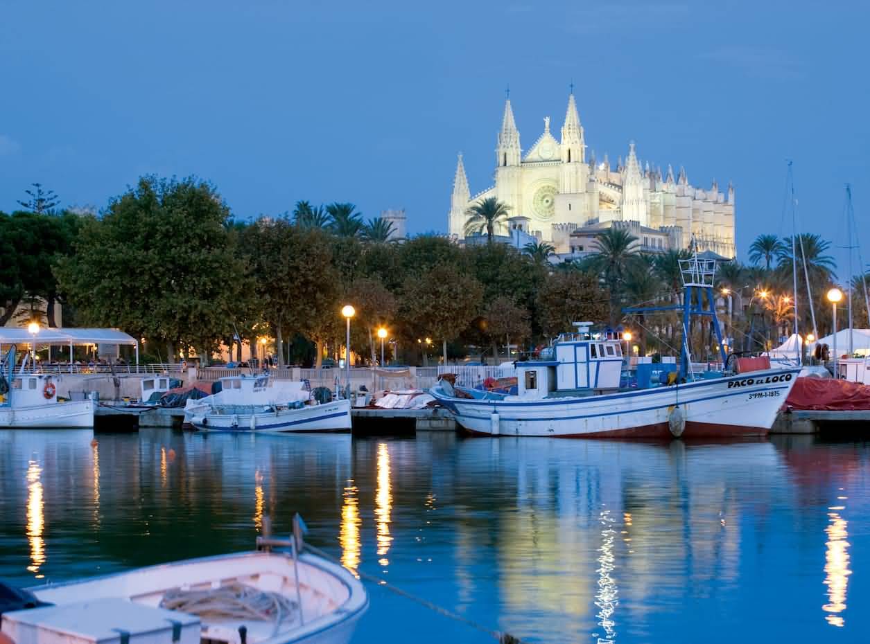 Cruises Parked Near The Palma Cathedral