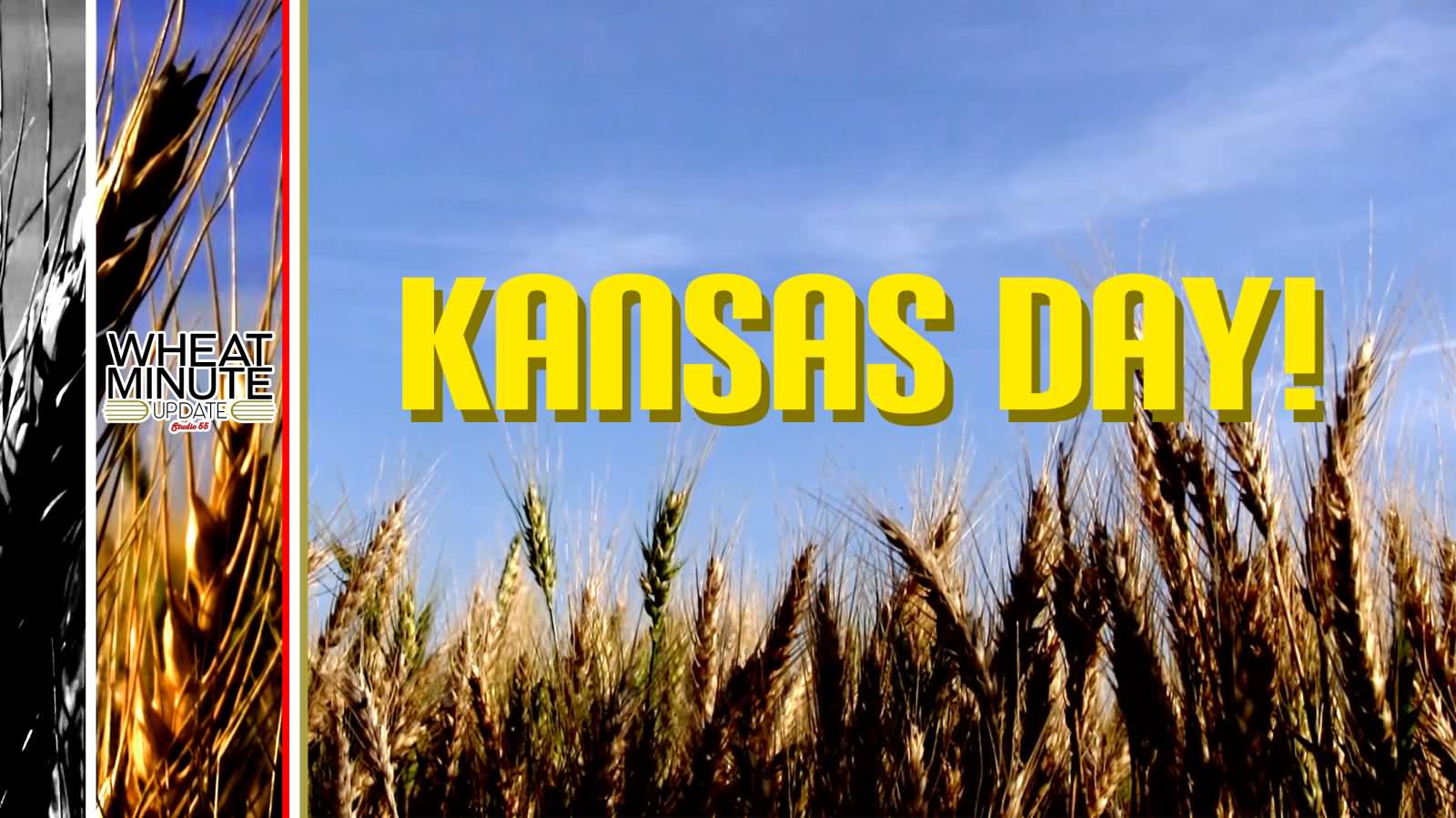 Happy Kansas Day