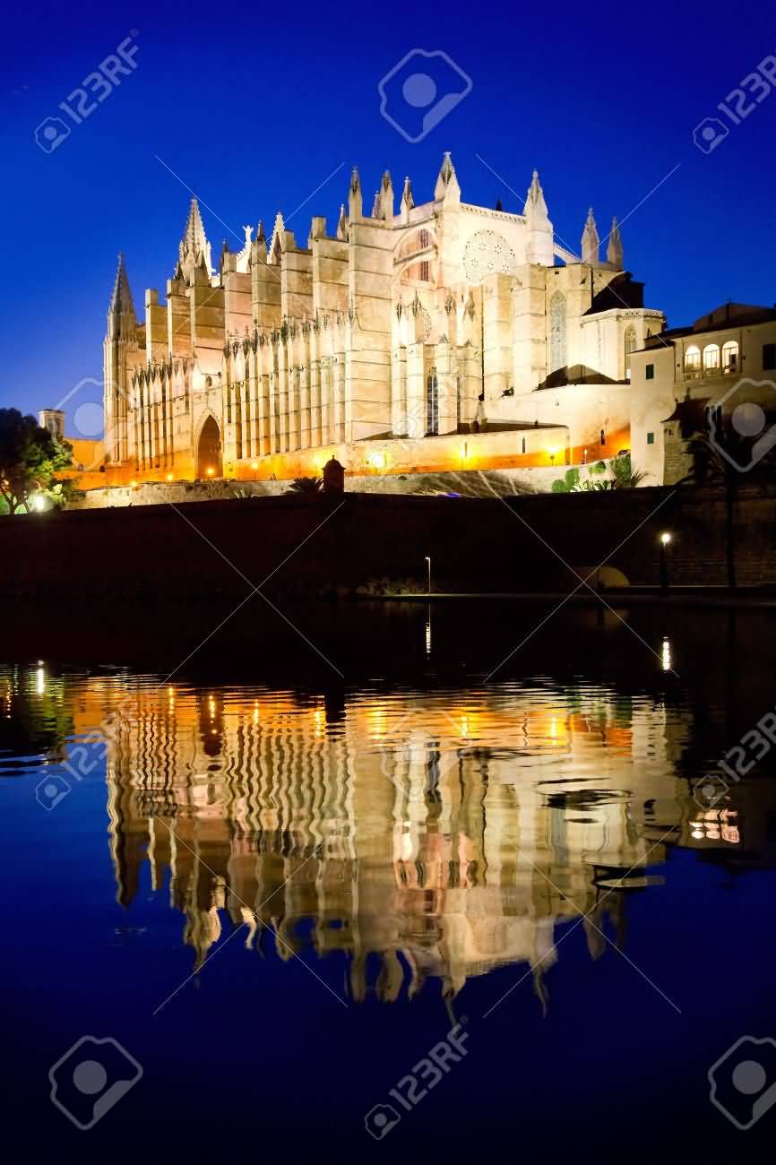 Mirrored Reflection Of Palma Cathedral In Lake At Night