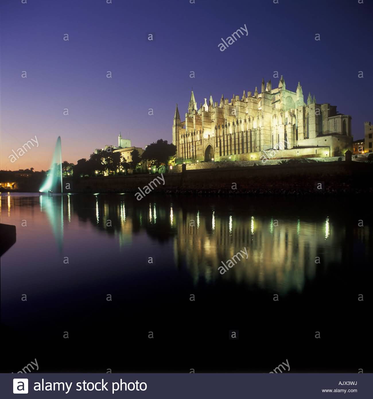 Night View Of Palma Cathedral In Spain