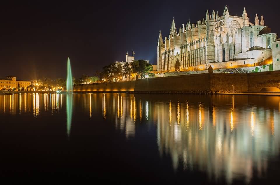 Night View Of The Cathedral Of Palma