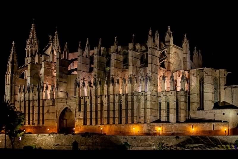 Night View Of The Palma Cathedral In Spain