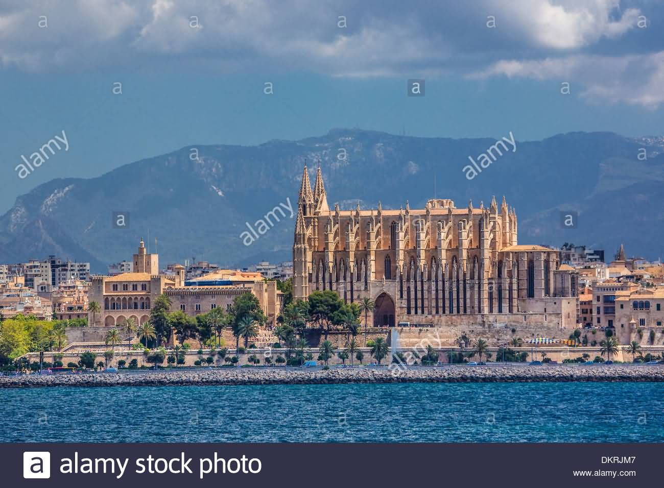 Ocean View Of The Palma Cathedral