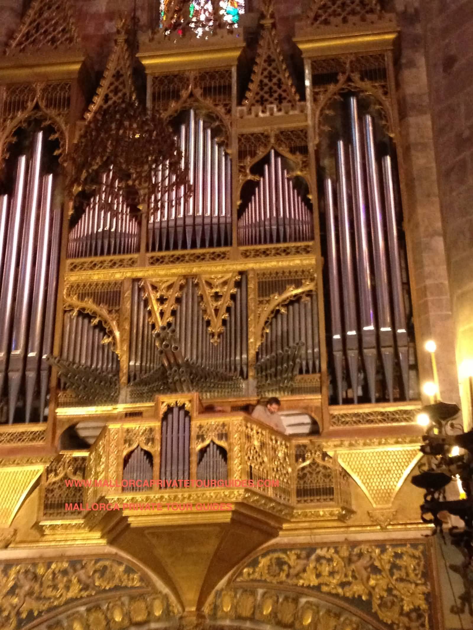 Organ Inside The Palma Cathedral