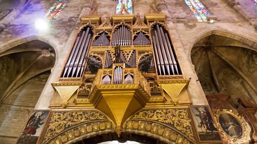 Organ Of The Palma Cathedral Inside View